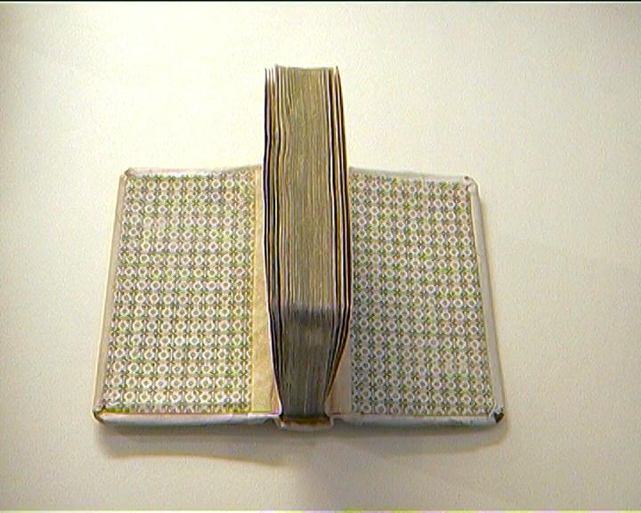 Reparatur
gebunden im BuchbindeAtelier . Kochinke