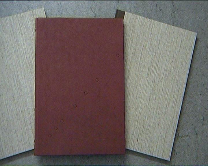 Doktorarbeit
gebunden im BuchbindeAtelier . Kochinke